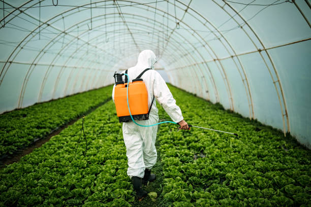 Best Pest Control Near Me  in Roanoke, AL