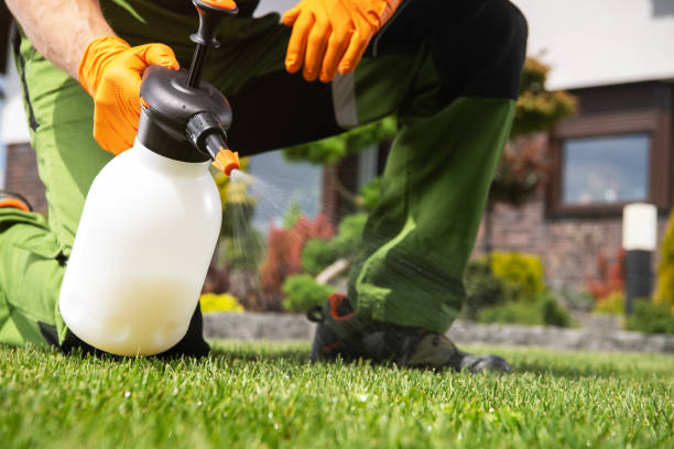 Best Affordable Pest Control Services  in Roanoke, AL