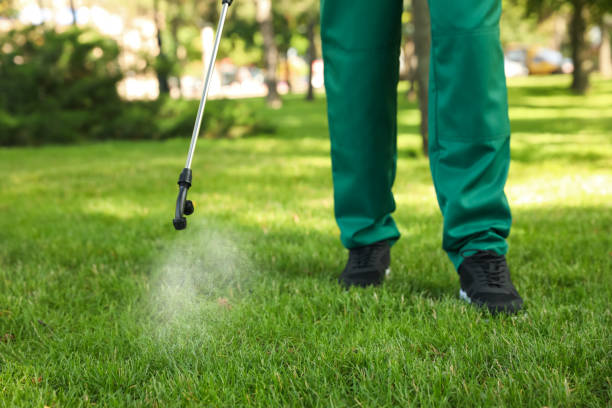 Best Emergency Pest Control  in Roanoke, AL