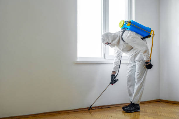 Best Termite Control Services  in Roanoke, AL