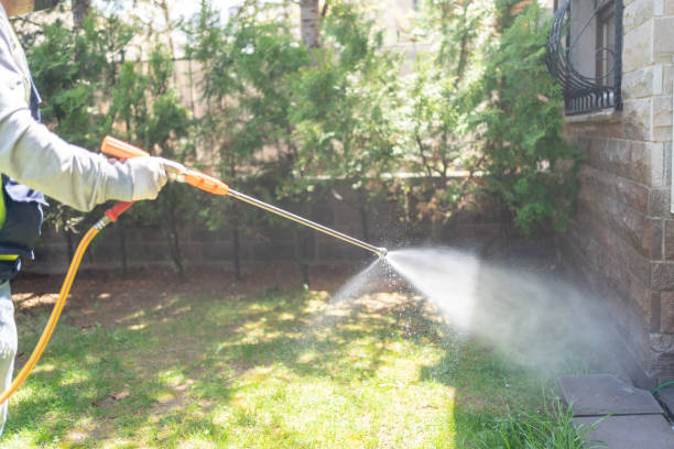 Best Insect Control  in Roanoke, AL
