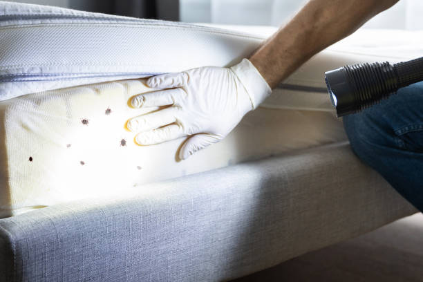 Best Residential Pest Control  in Roanoke, AL