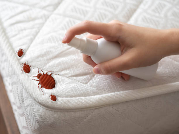 Best Wasp Removal Services  in Roanoke, AL