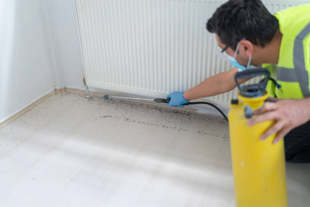 Flea Control Services in Roanoke, AL