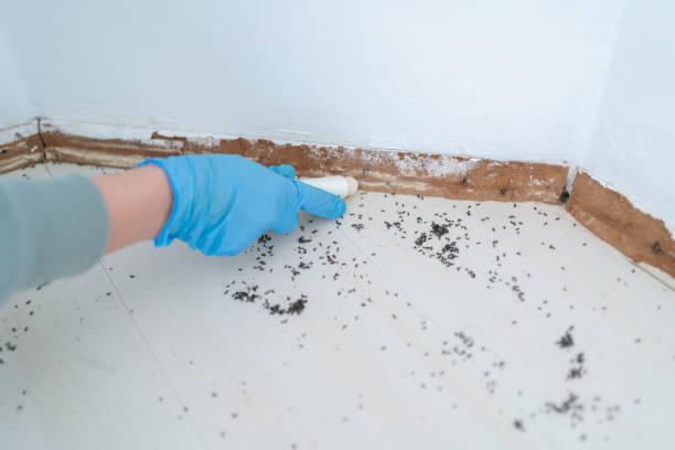 Best Exterminator Services  in Roanoke, AL